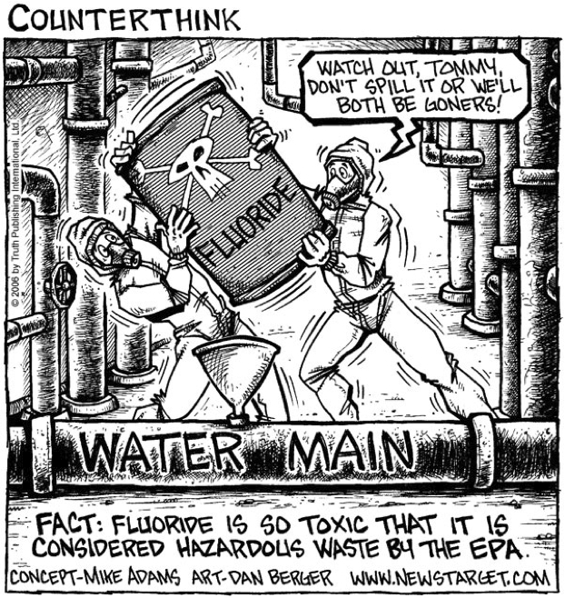 http://www.davidicke.jp/blog/wp-content/uploads/2011/02/25th_022.jpg?img=link