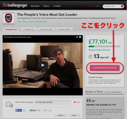 indiegogo1